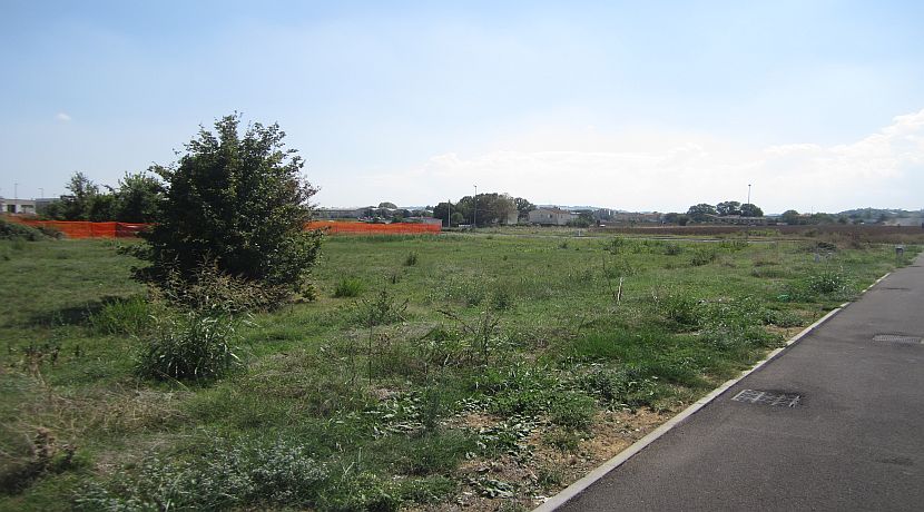 Vendesi lotti di terreno artigianali/indust. urbanizzati  da circa mq 2000 Castel San Pietro T.